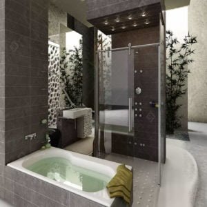 Box de vidro para o banheiro modelo Elite cromado inox polido ou escovado roldana aparente