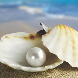 Box de vidro para o banheiro modelo Pérola cromado inox polido ou escovado roldana aparente