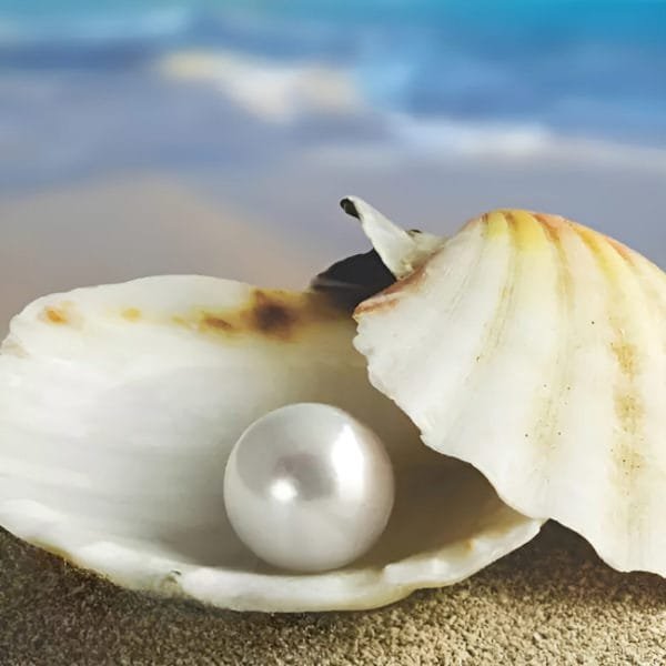 Box de vidro para o banheiro modelo Pérola cromado inox polido ou escovado roldana aparente